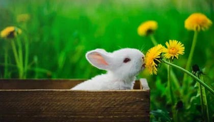 爱游戏体育（AYX）官方APP下载-青训基地揭幕：新设施助推联盟未来之星成长，青训中心是干嘛的